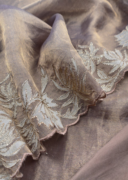 Chikoo Aari Embroidery Tissue Silk Suit In Applique Work